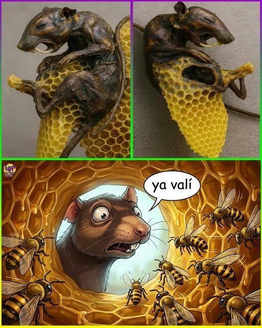 Cuando la Colmena se Encuentra con un Intruso: La Sabiduría de las Abejas y el Poder del Propóleo