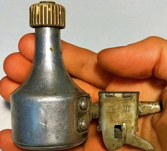 Mi hijo encontró esto en nuestro jardín… y ahora nos preguntamos para qué sirve esta cosa tan rara. ¿Sabes qué ves en la foto?